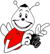 avatar logo